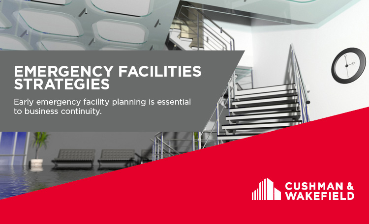 Emergency Facilities Strategies