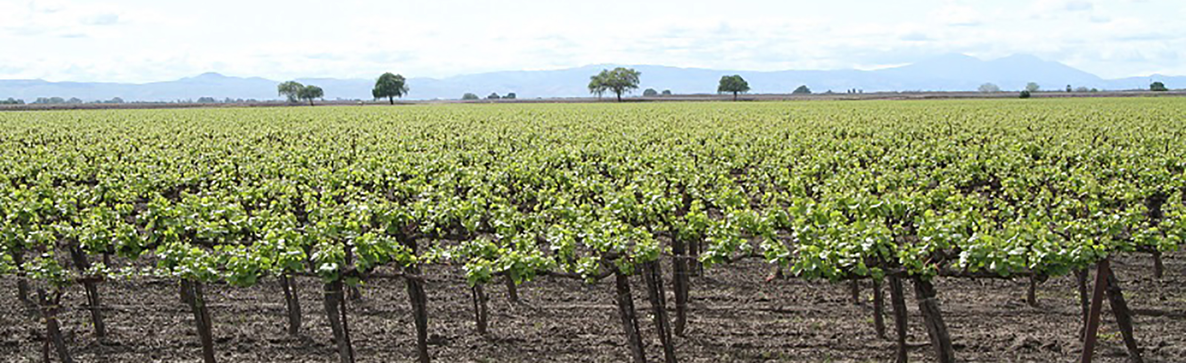 Bixler Farms