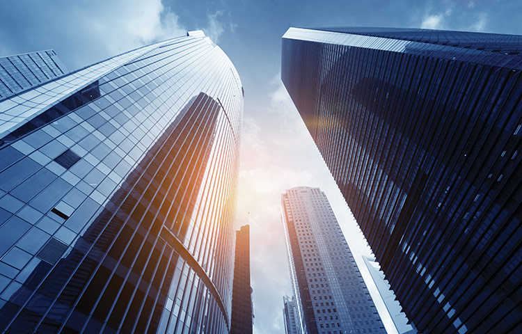 Capital Markets Australia Cushman Wakefield