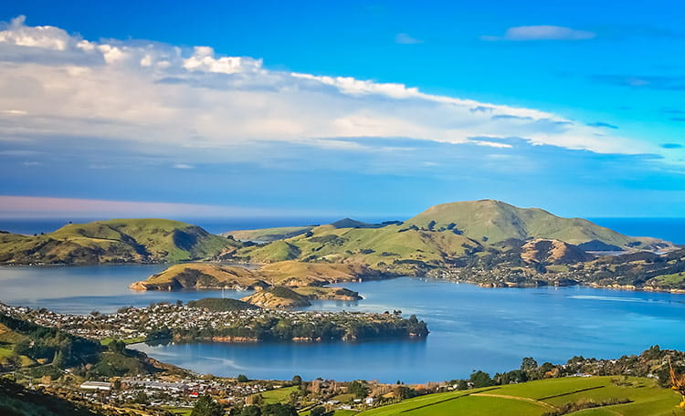 dunedin