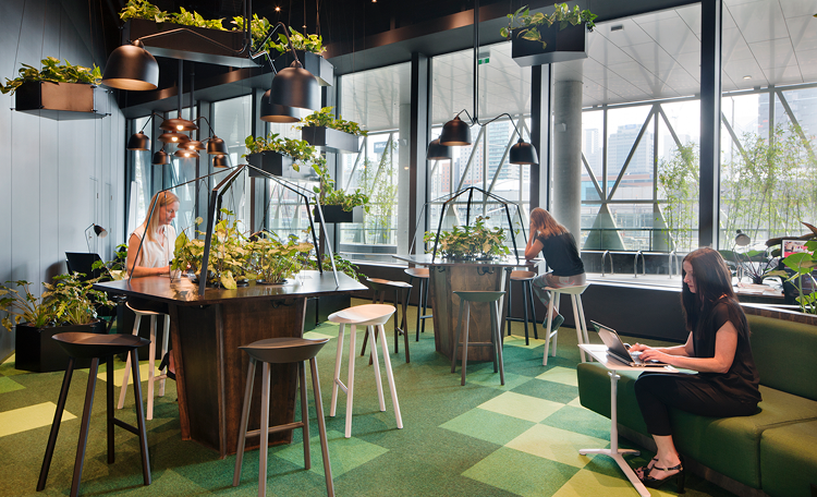 Workplace healthy (image)