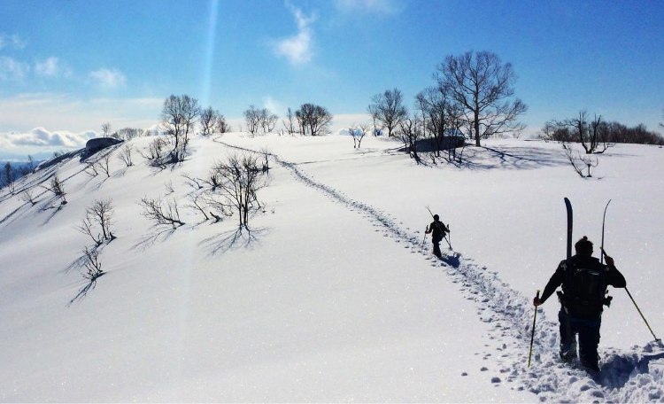 Hokkaido: Emerging Tourism Segment